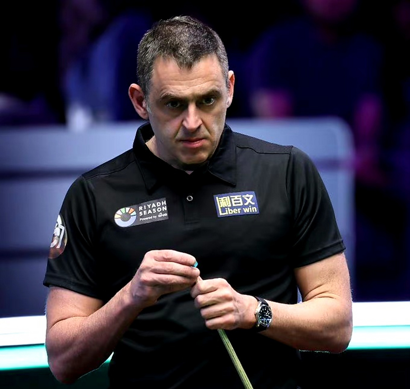 都是为了寻 都是为了寻