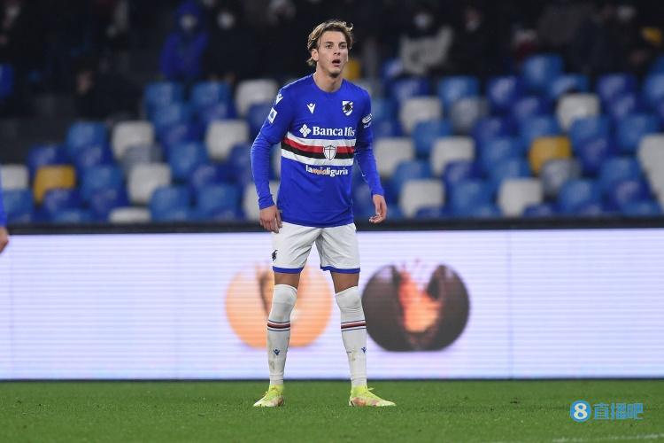 能力帮助马 能力帮助马