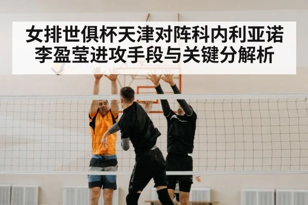 volleyball net block